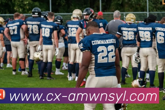 App Interface Preview